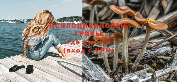 винт Няндома
