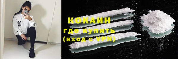 индика Новодвинск