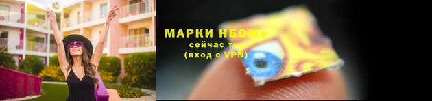 apvp Осташков