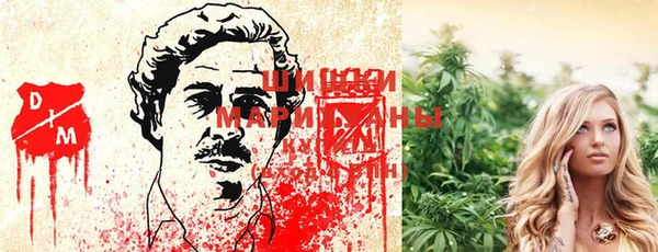 винт Нягань