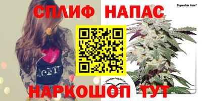 альфа пвп Камышлов