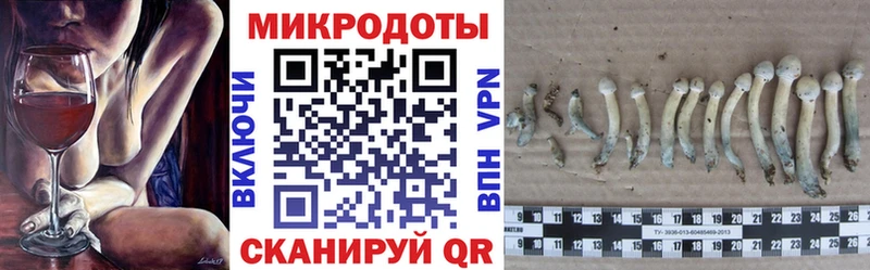 Галлюциногенные грибы Psilocybine cubensis Полевской