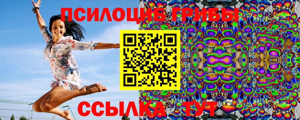 Псилоцибиновые грибы MAGIC MUSHROOMS Полевской