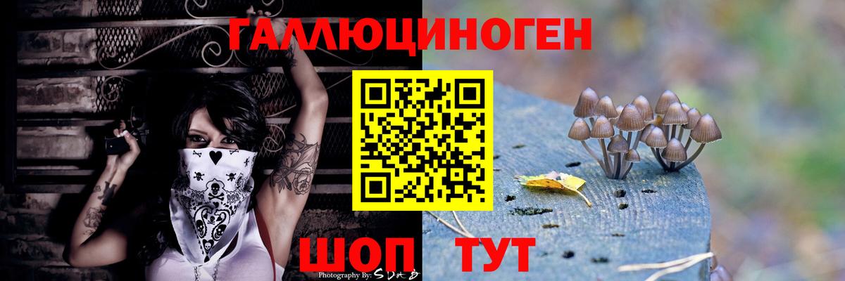 Галлюциногенные грибы прущие грибы  Полевской 